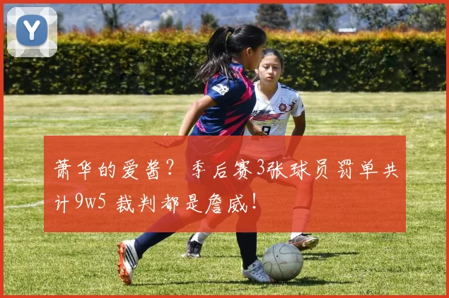 萧华的爱酱？季后赛3张球员罚单共计9w5 裁判都是詹威！