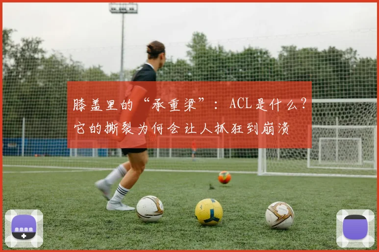 膝盖里的“承重梁”：ACL是什么？它的撕裂为何会让人抓狂到崩溃
